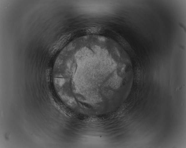 X0000103250738200809251350