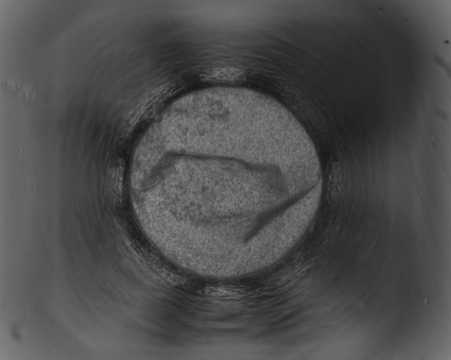 X0000103250739200809251350