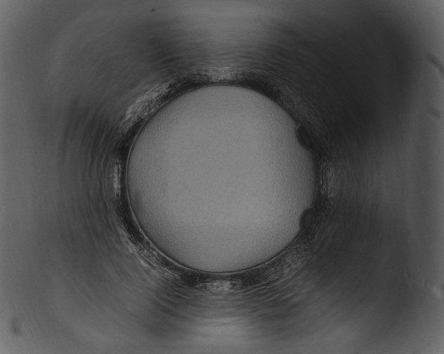 X0000103250740200809251350