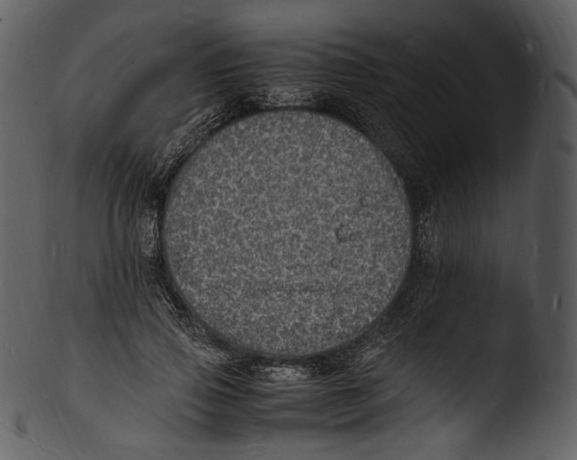 X0000103250741200809251350