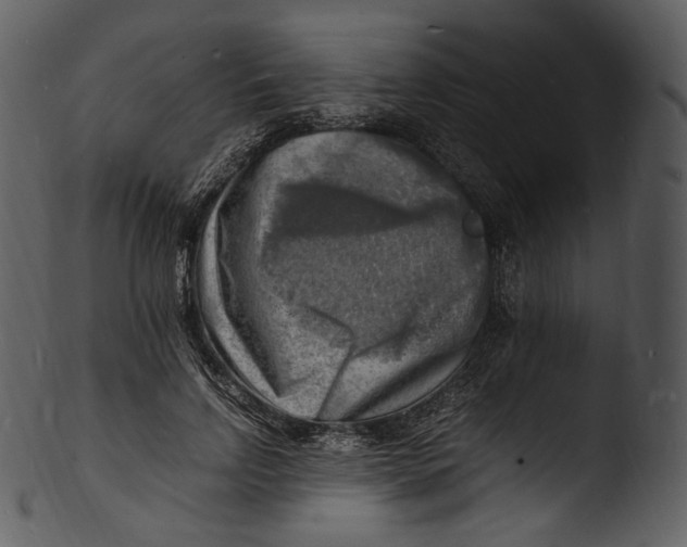 X0000103250742200809251350