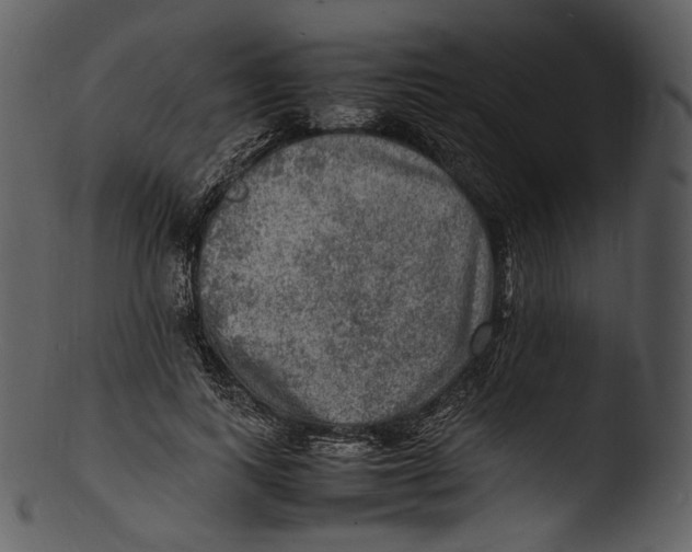 X0000103250743200809251350