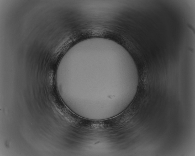 X0000103250744200809251350