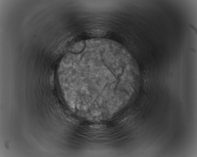 X0000103250745200809251350