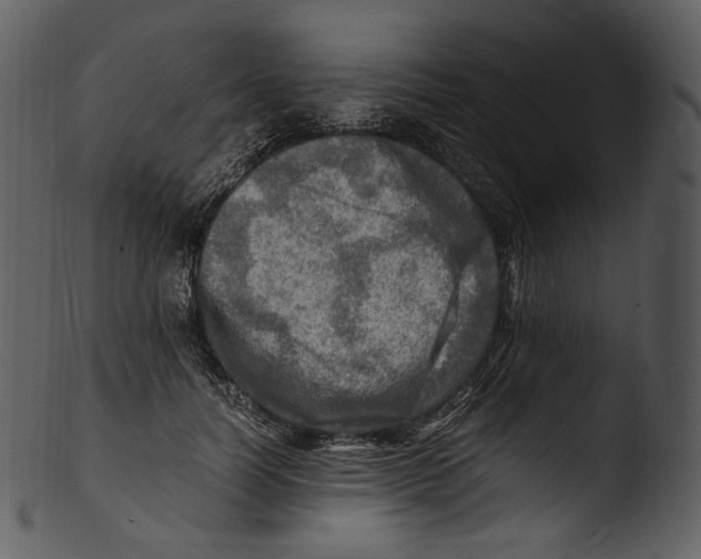X0000103250746200809251350