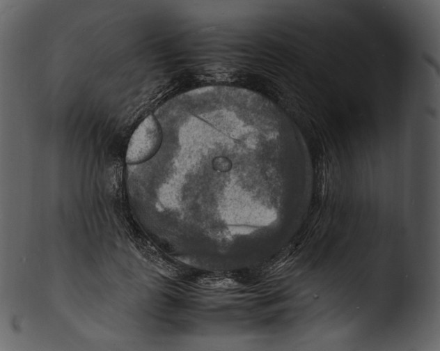 X0000103250747200809251350