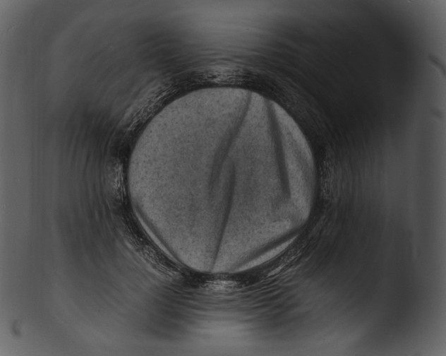X0000103250748200809251350