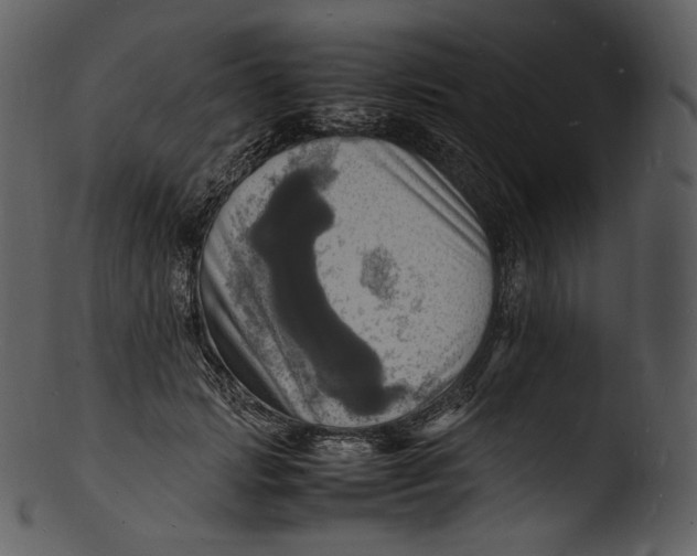 X0000103250749200809251350