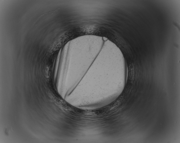 X0000103250750200809251350
