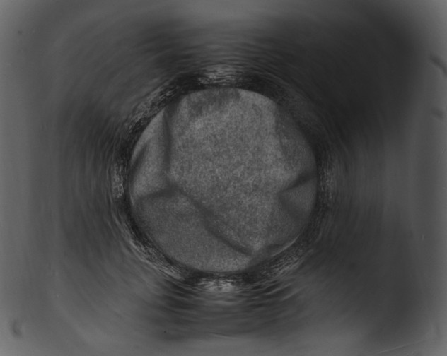X0000103250751200809251350