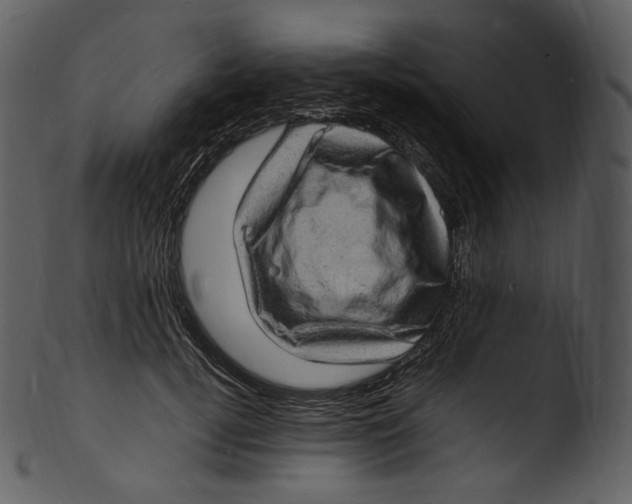 X0000103250752200809251350