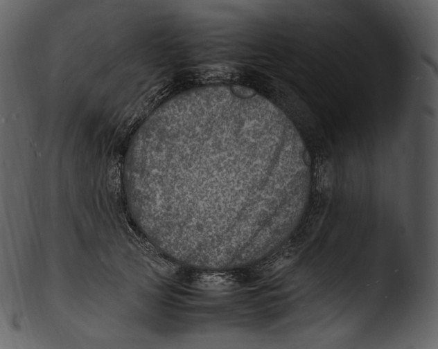 X0000103250753200809251350