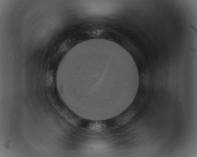 X0000103250754200809251350