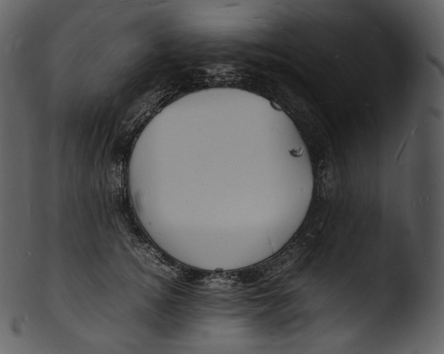 X0000103250756200809251350