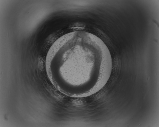 X0000103250761200809251351