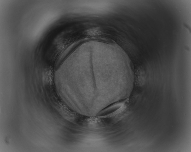 X0000103250762200809251351
