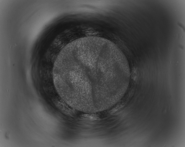 X0000103250763200809251351