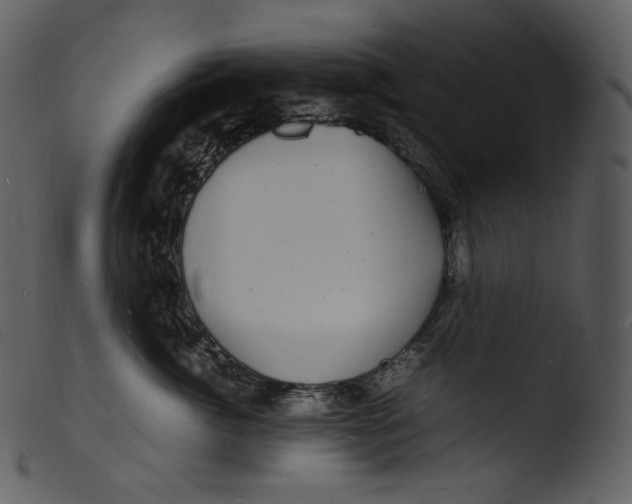 X0000103250764200809251351