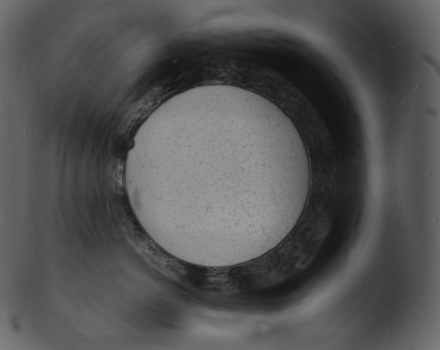 X0000103250766200809251351