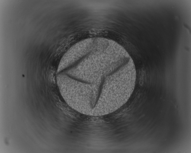 X0000103250770200809251350