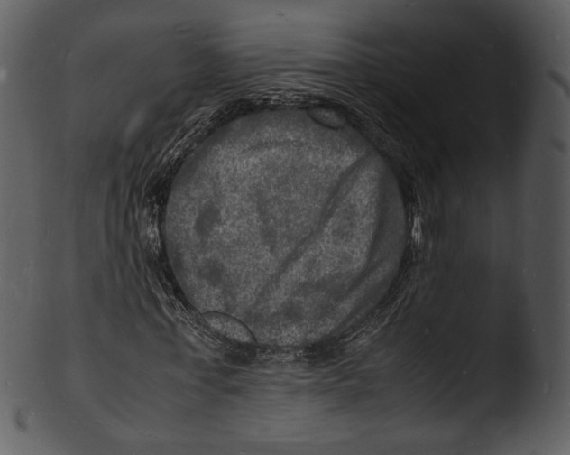 X0000103250771200809251350
