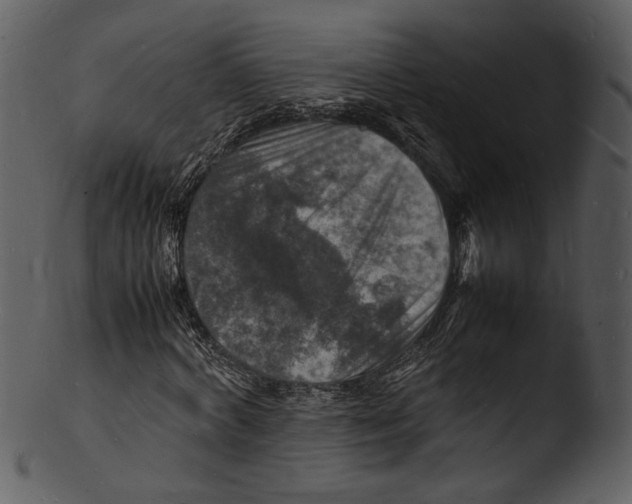 X0000103250772200809251350