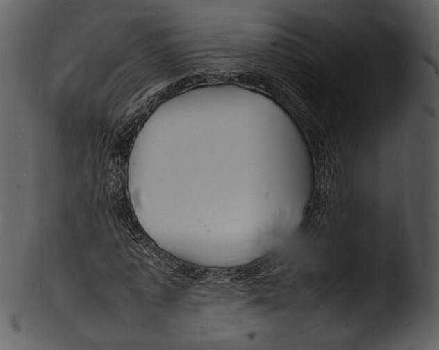 X0000103250773200809251350