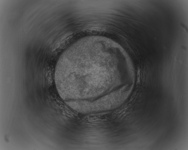 X0000103250774200809251350