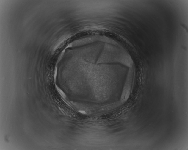 X0000103250775200809251350