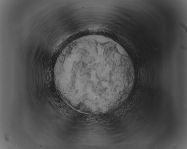 X0000103250776200809251350