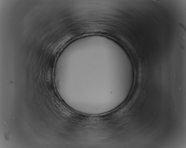 X0000103250777200809251350