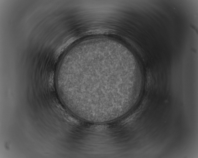 X0000103250778200809251350