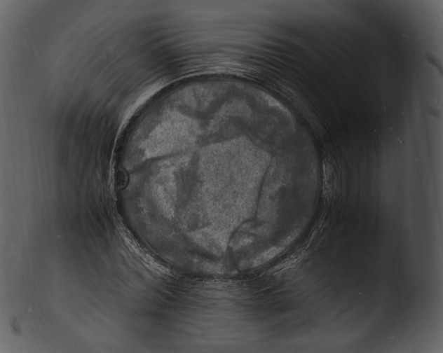 X0000103250780200809251350