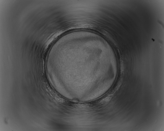X0000103250781200809251350