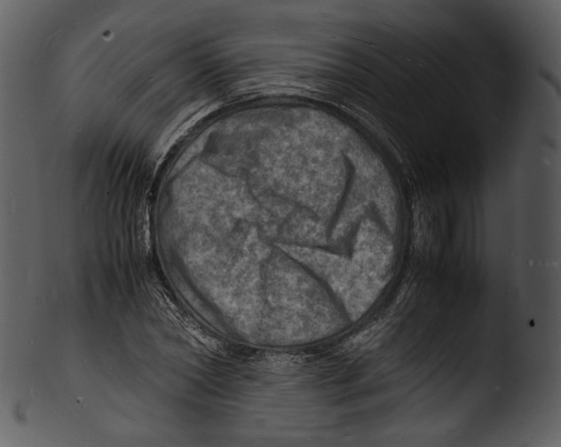 X0000103250782200809251350
