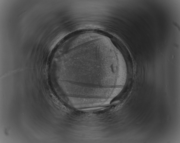 X0000103250783200809251350
