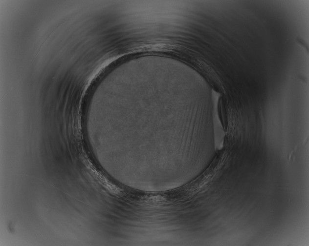 X0000103250784200809251350
