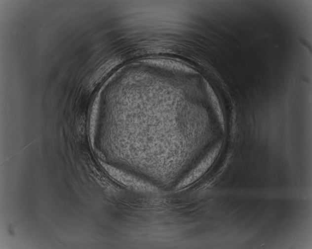 X0000103250785200809251350