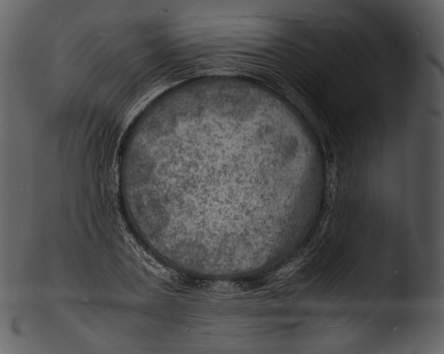 X0000103250787200809251350