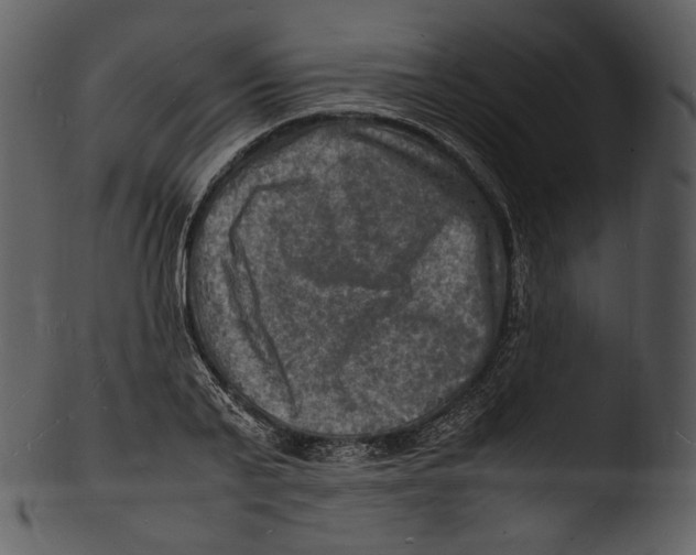 X0000103250791200809251350