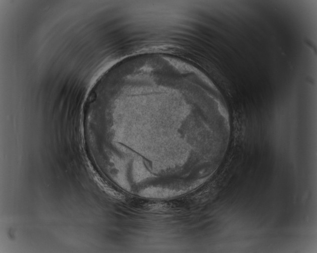 X0000103250792200809251350