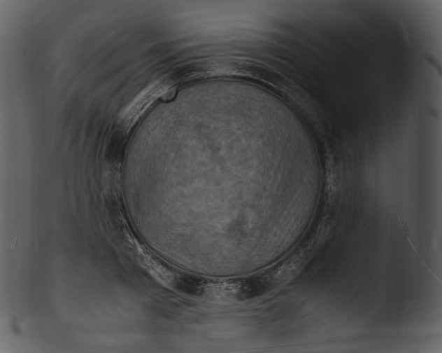 X0000103250793200809251350
