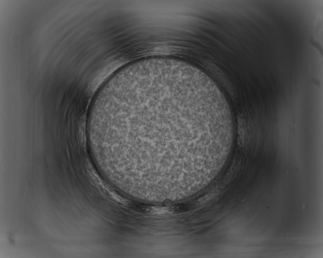 X0000103250794200809251350