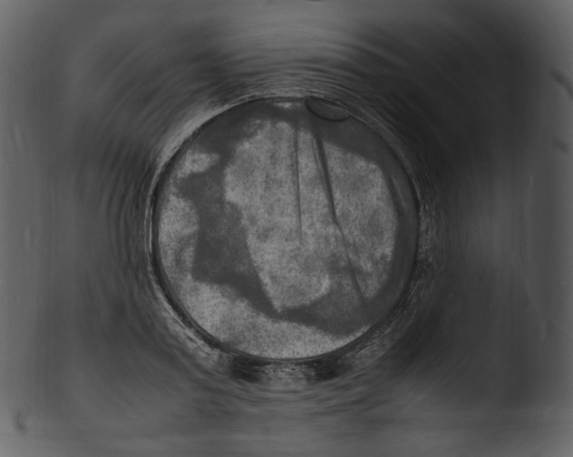 X0000103250795200809251350