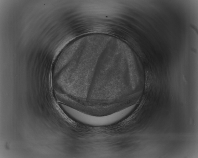 X0000103250796200809251350