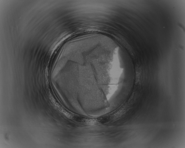 X0000103250798200809251350