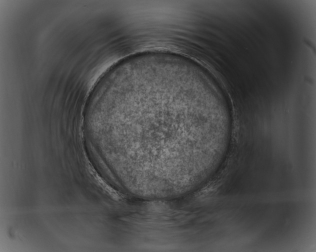 X0000103250799200809251350