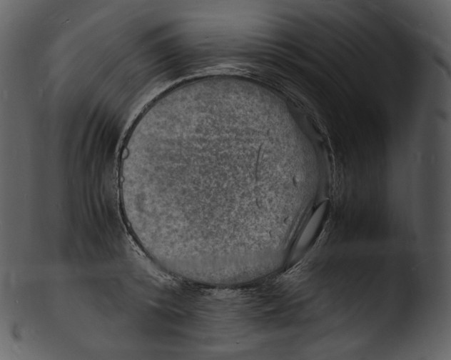 X0000103250800200809251350