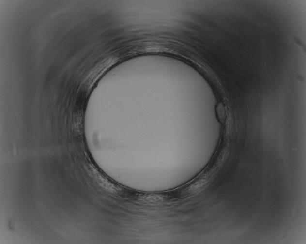 X0000103250801200809251350