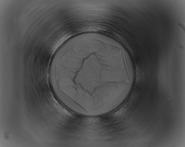 X0000103250802200809251350